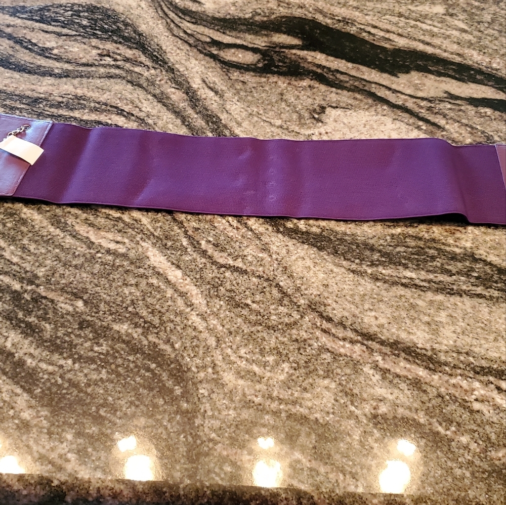 Purple Chain-Embellished Belt - Picture 5 of 7